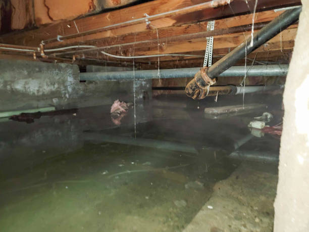 Best Flooded house restoration  in Hurleyville, NY