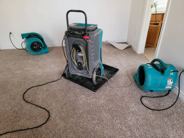Best Mold removal after water damage  in Hurleyville, NY