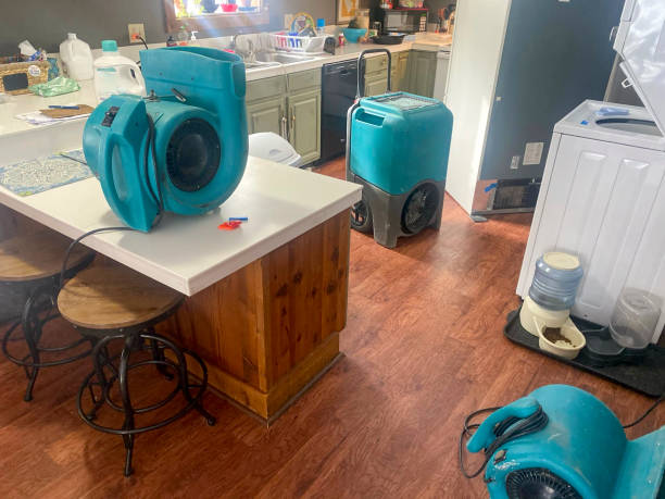 Best Ceiling water damage repair  in Hurleyville, NY
